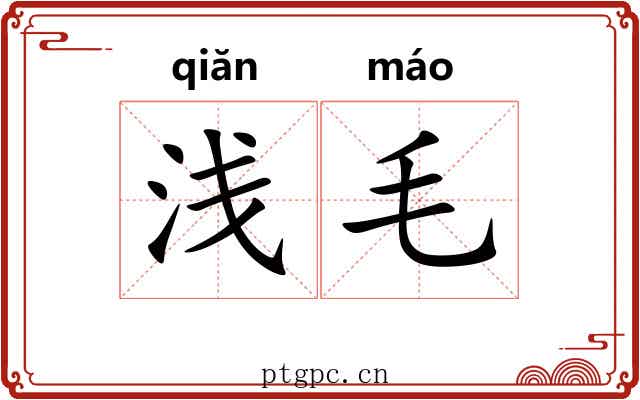 浅毛 浅毛