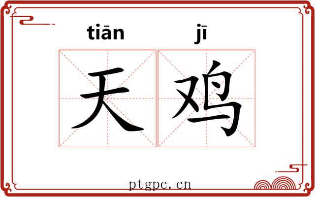 天鸡 天鸡