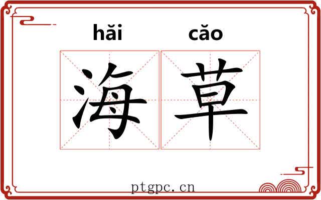 海草 海草