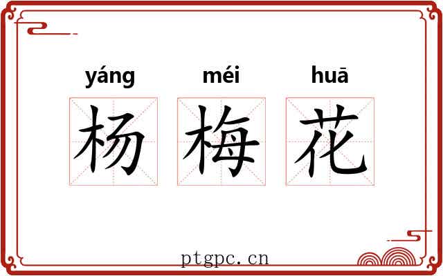杨梅花 杨梅花