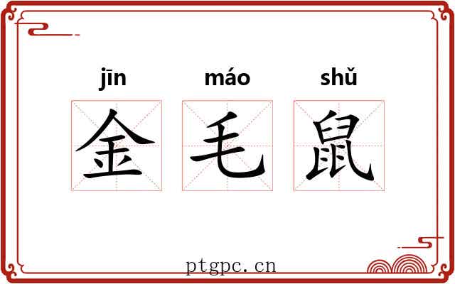 金毛鼠