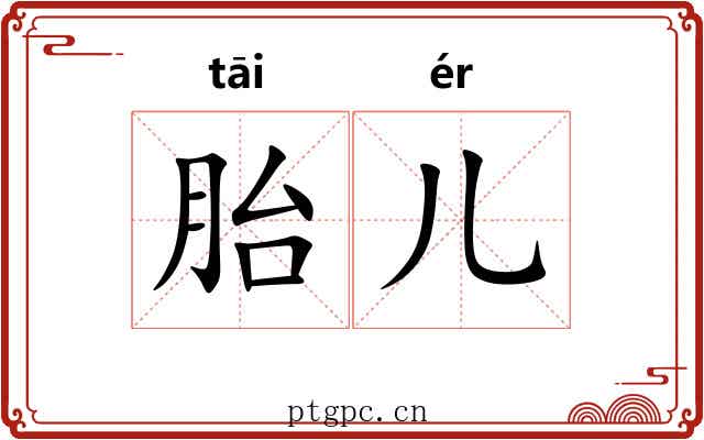 胎儿