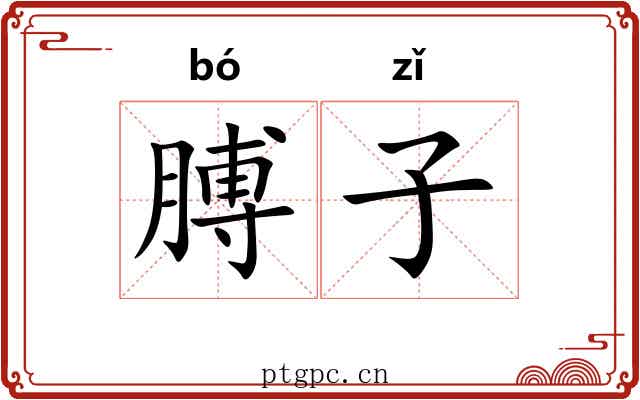 膊子