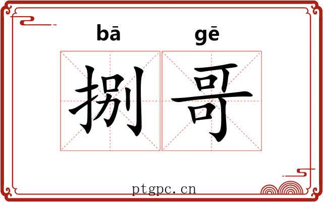 捌哥