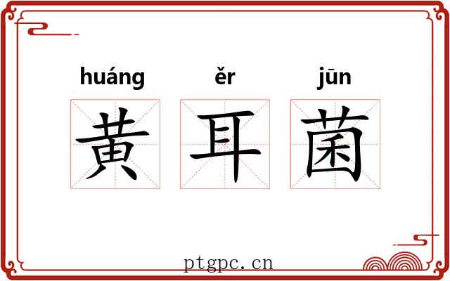 黄耳菌