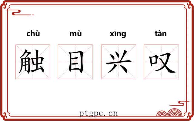 触目兴叹