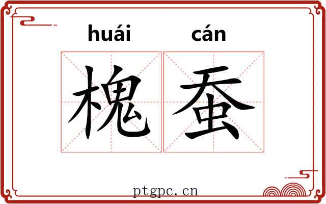 槐蚕