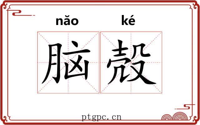 脑殻