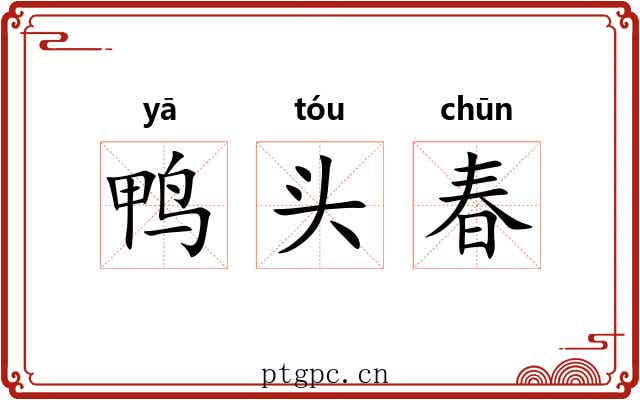 鸭头春 鸭头春