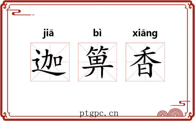 迦箅香 迦箅香