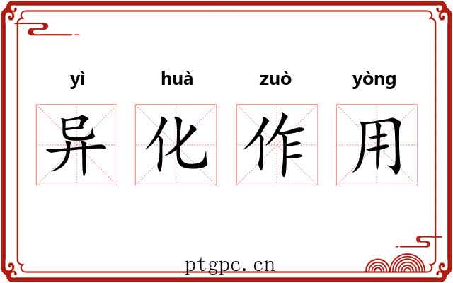 异化作用