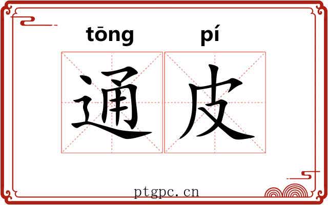 通皮