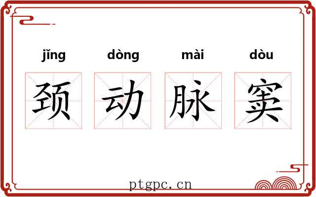 颈动脉窦
