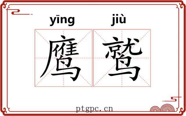 鹰鹫