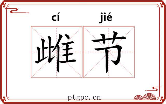 雌节
