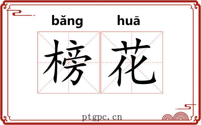 榜花 榜花