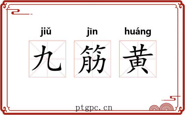 九筋黄