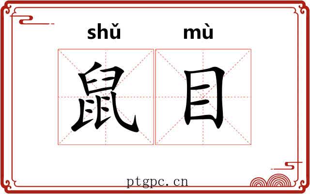 鼠目 鼠目