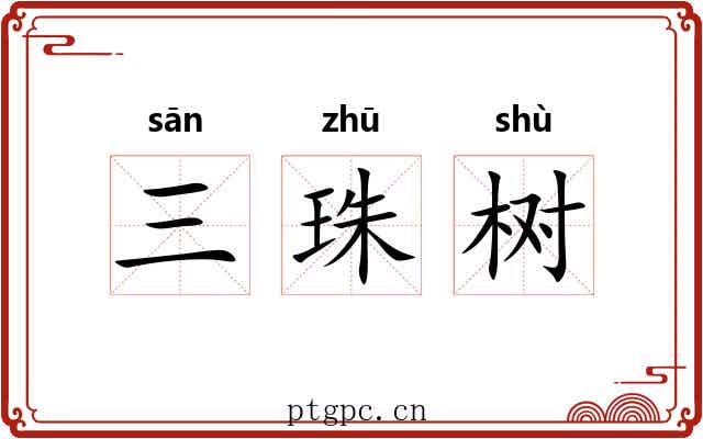 三珠树 三珠树