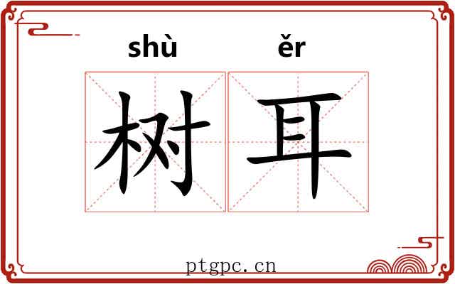 树耳