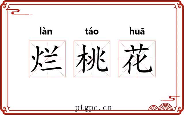 烂桃花 烂桃花
