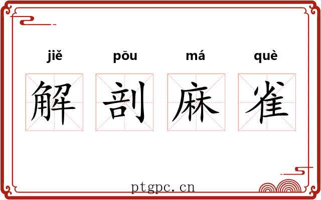 解剖麻雀