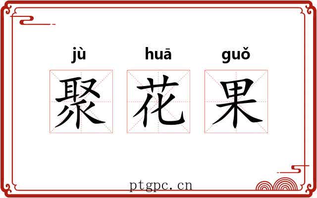 聚花果 聚花果