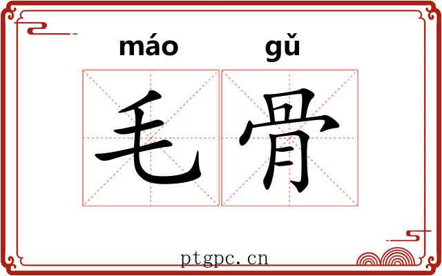 毛骨 毛骨