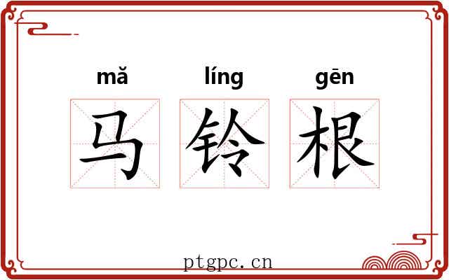 马铃根