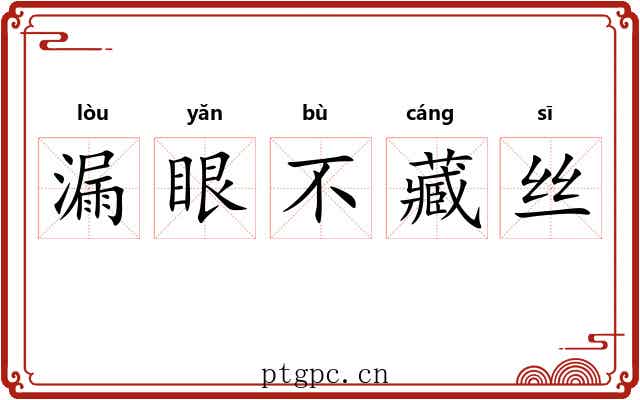 漏眼不藏丝