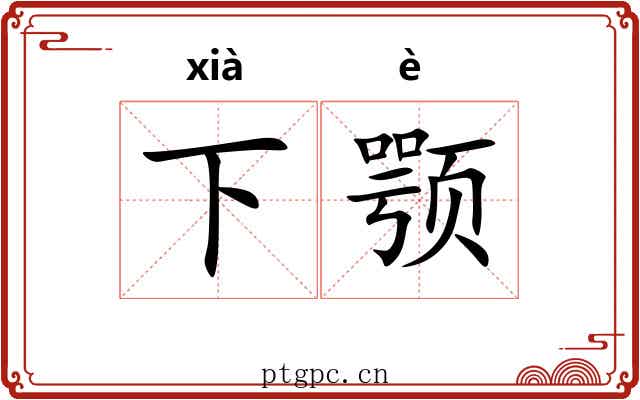 下颚