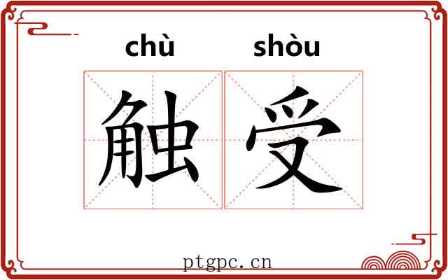 触受 触受