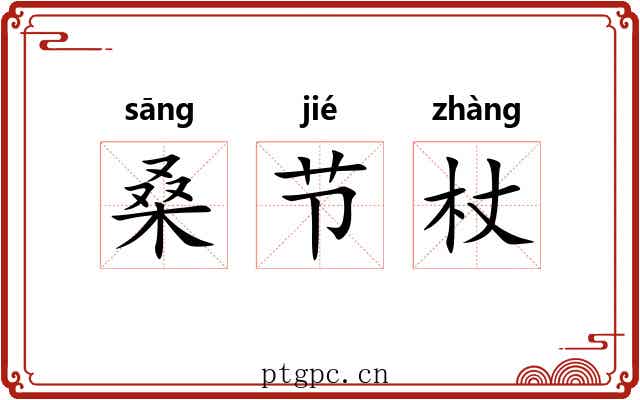 桑节杖