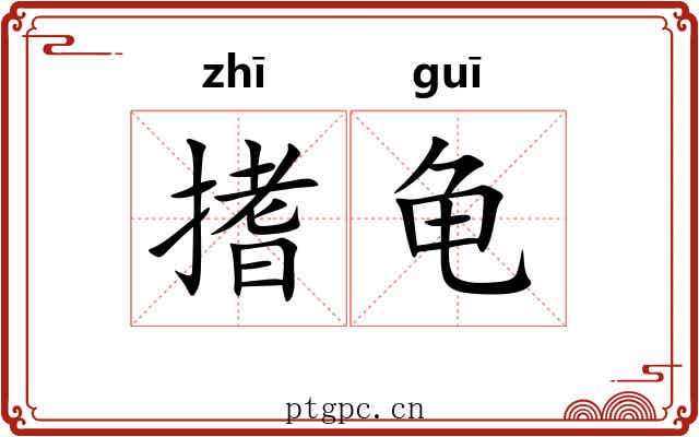 搘龟