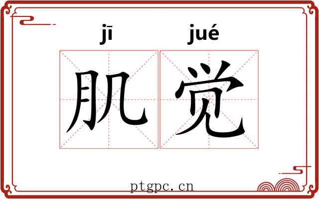 肌觉