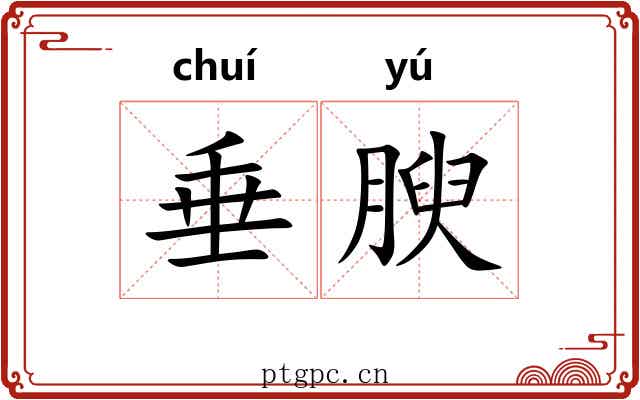 垂腴