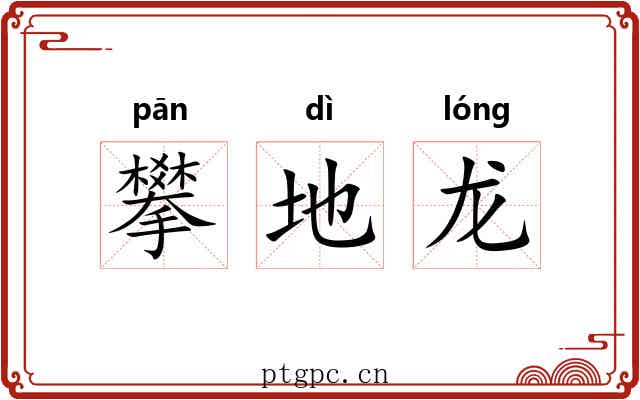 攀地龙