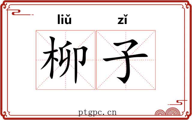 柳子