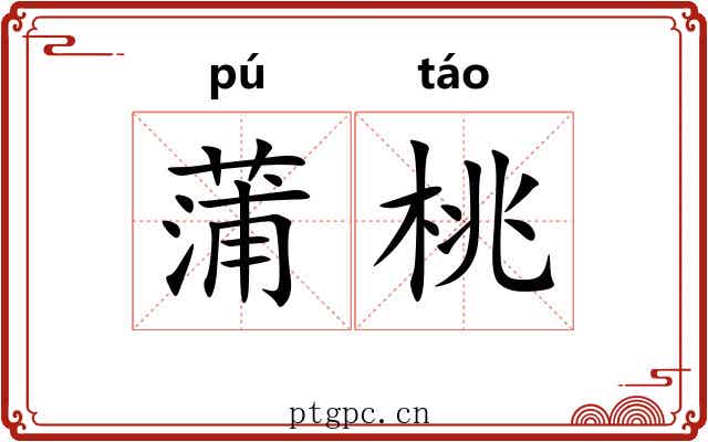 蒲桃