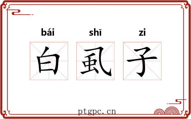 白虱子