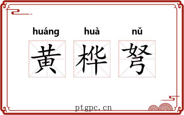 黄桦弩