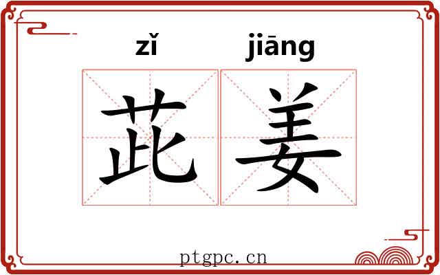 茈姜