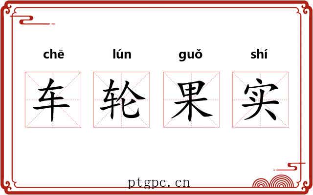车轮果实