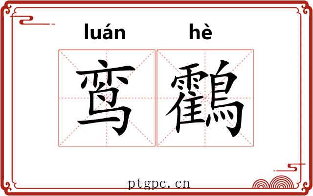 鸾鸖