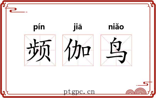 频伽鸟 频伽鸟