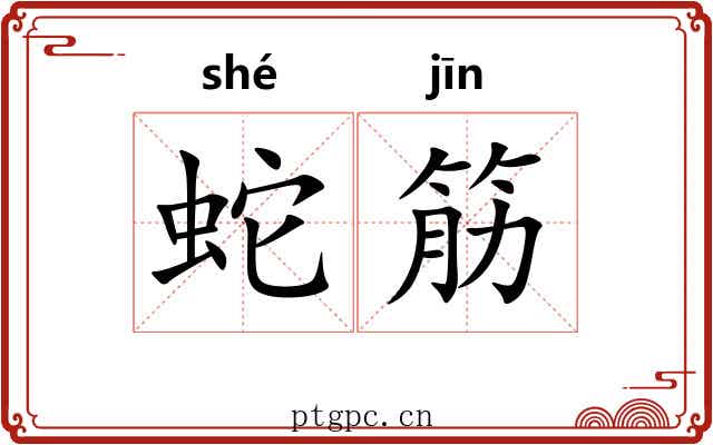 蛇筋