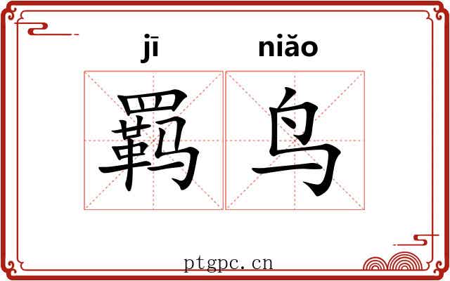 羁鸟