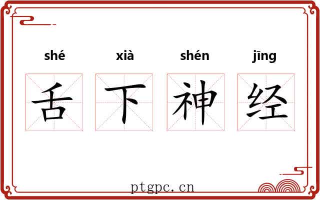 舌下神经