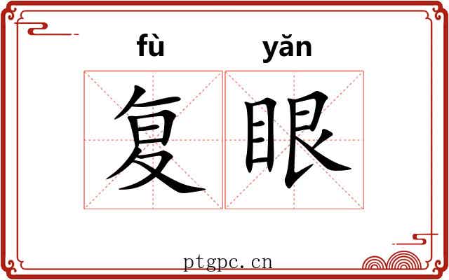 复眼 复眼
