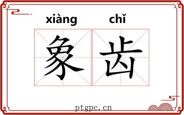 象齿